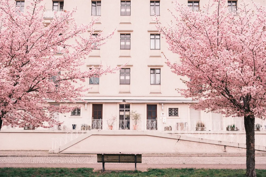 Pink Berlin